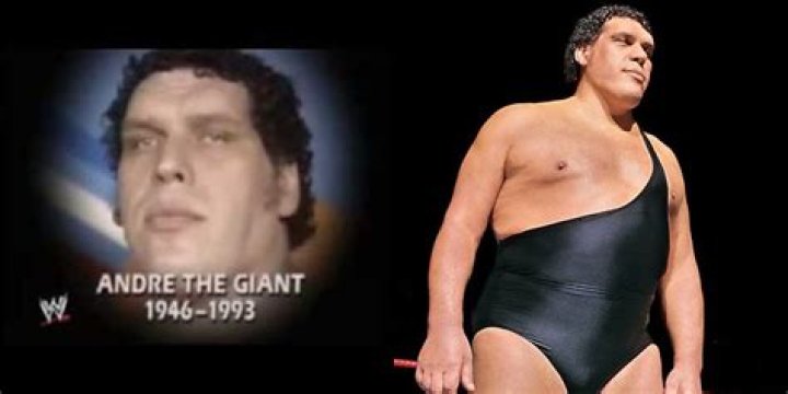 Andre The Giant's Wife: An Inside Look Into A Legendary Love Story