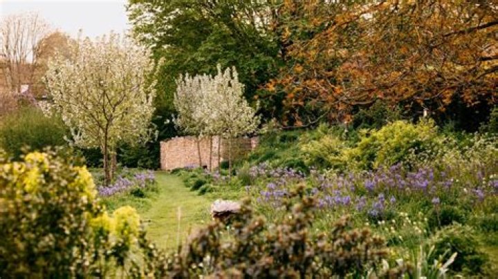 Battaglia Floral Park: A Haven For Nature Lovers And Photographers