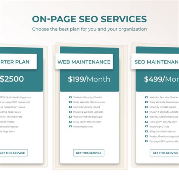 Best SEO Optimization Service By Leslie Jose Zigel
