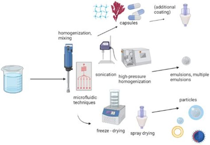 Comprehensive Guide To Columbia Encapsulation: Methods And Applications