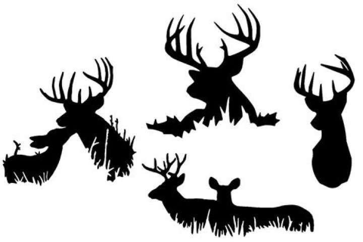 Customize Your Gear With Striking Hunters Image Decals