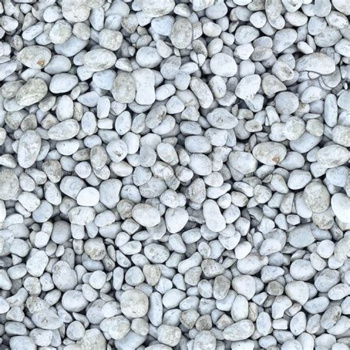 Cutting-Edge Pebblebed VC: A Revolutionary Investment Opportunity