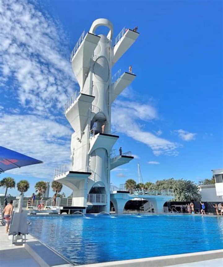Discover Ft Lauderdale Sharks: The Ultimate Aquatic Adventure