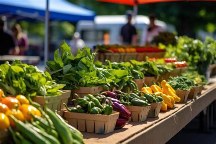 Discover The Authentic Flavors At JK Flatbush Farm: Your Local Source For Fresh Produce