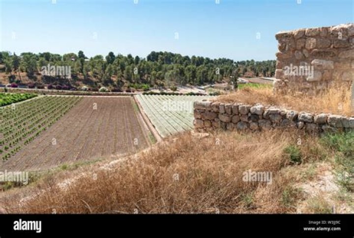 Discover The Unique Charm Of Moshav Udim In Israel