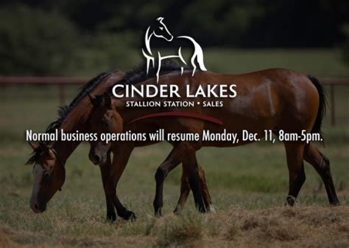 Discover Thomas Richard Ford's Cinder Lakes Ranch