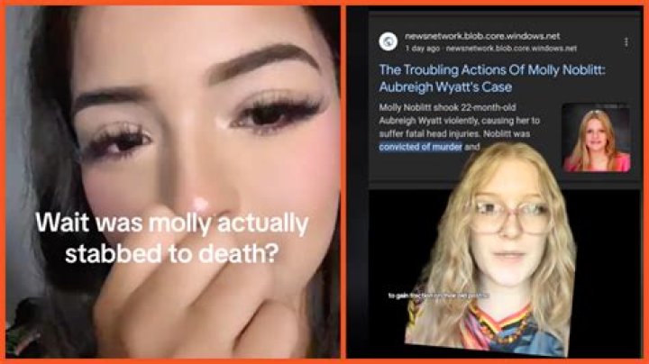 Expert Insights: Molly Noblitt Nees' Guide To Success