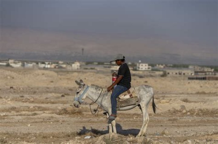 Explore Kibbutz Elrom: A Thriving Israeli Oasis