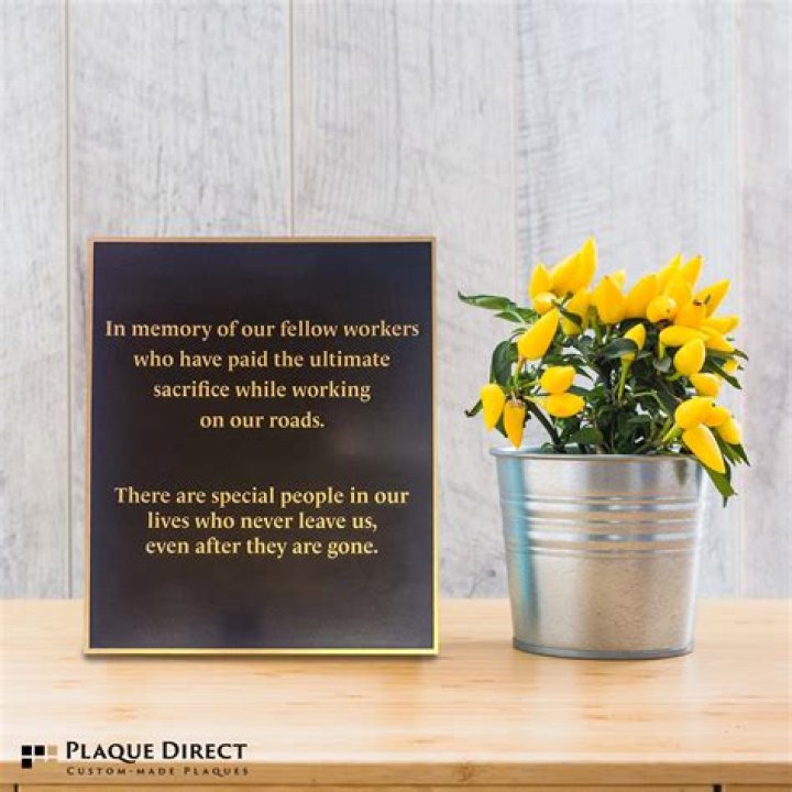 In Memoriam: Emily Lein Remembered