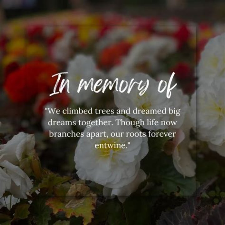 In Memoriam: Remembering The Life Of Kyle Reich