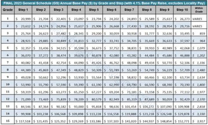 Joe Willis's Impressive Salary: A Look At The Numbers
