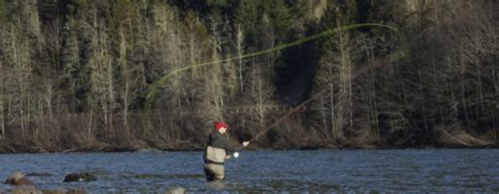 Join The Reel Deal: Texas Fishing Forums For The Avid Angler