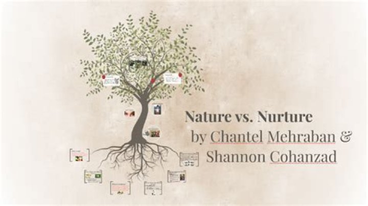 Meet Chantel Mehrabanian: An Expert In Her Field