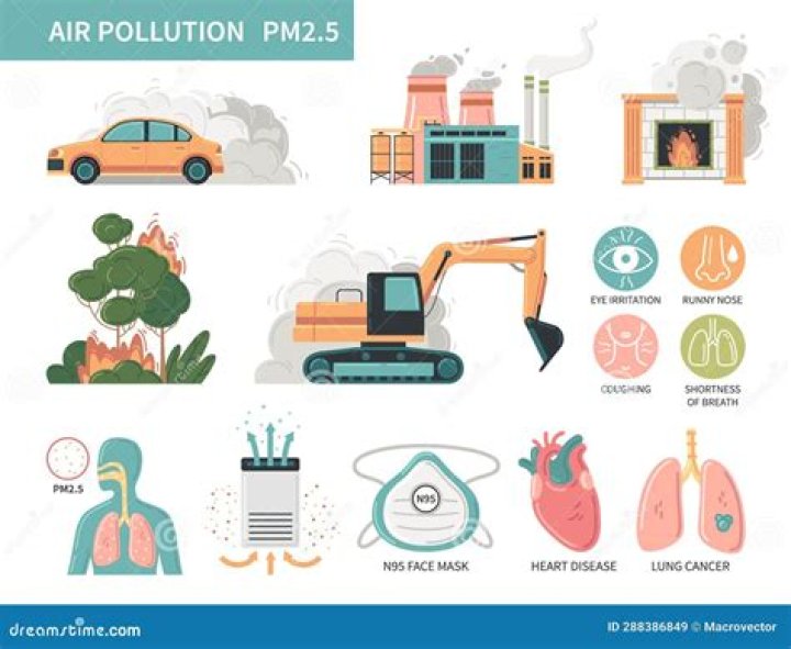 Molly Contagion: Deadly Impacts And Prevention Measures
