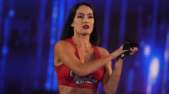 New Nikki Bella Workout Photo: Birdie Celebrates First Birthday With Cake!
