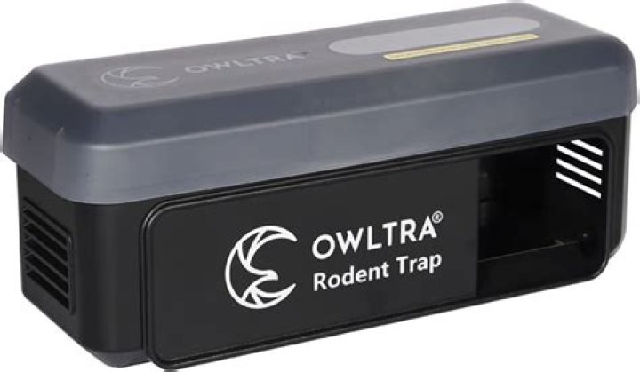 Police Rat Trap: Your Guide To Prevention And Control