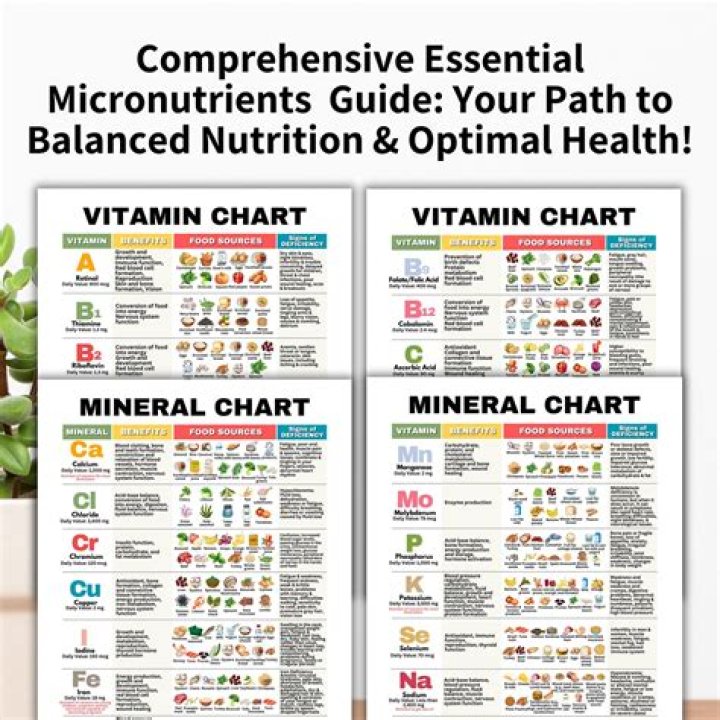 The Ultimate Colors Packet Guide: Your Essential Guide To Understanding Colors