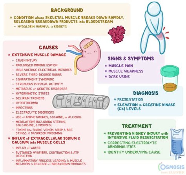 The Ultimate Guide To Seemerot: Causes, Symptoms, And Treatment