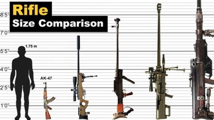 Ultimate Gun Comparison: Dimensions Made Easy