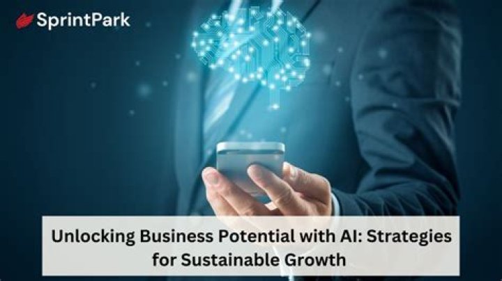 Unlocking Business Potential With Joshua Shenk's Expertise